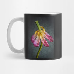 Old Pink Tulip with Textured Background Mug